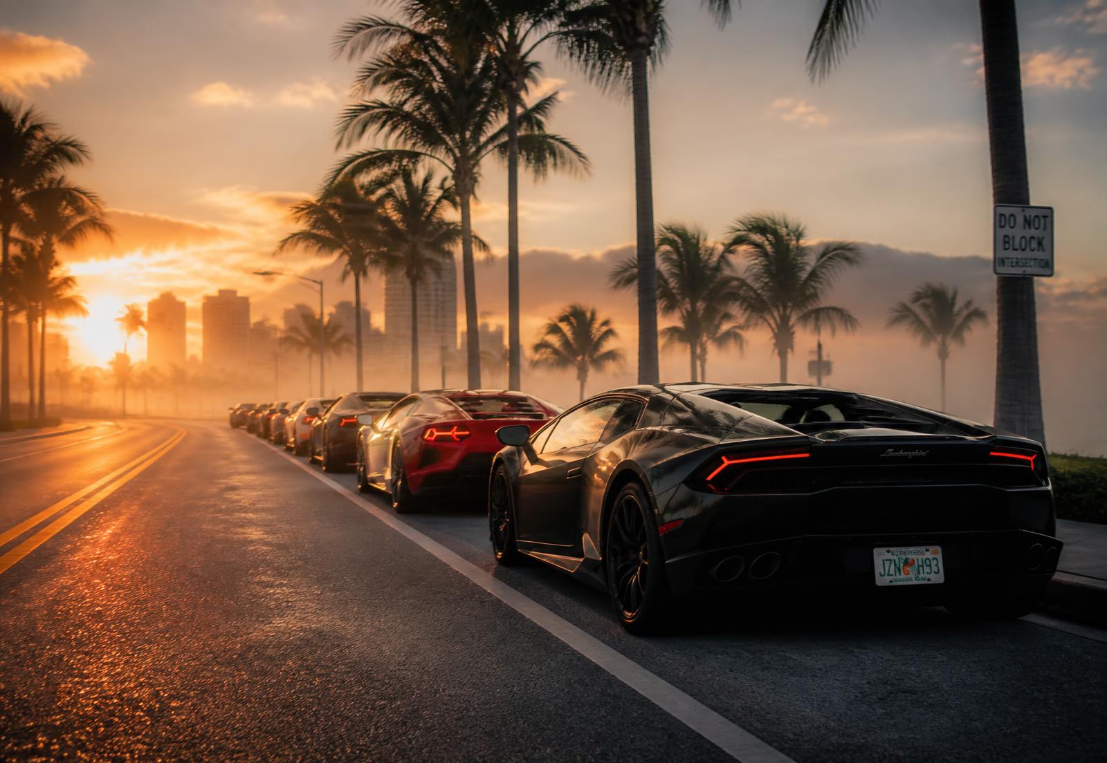 Members breakfast drive along a palm-lined South Florida road at sunrise
